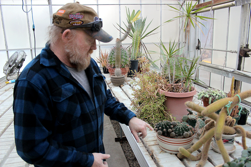 Campus greenhouse allows students a chance at a green thumb