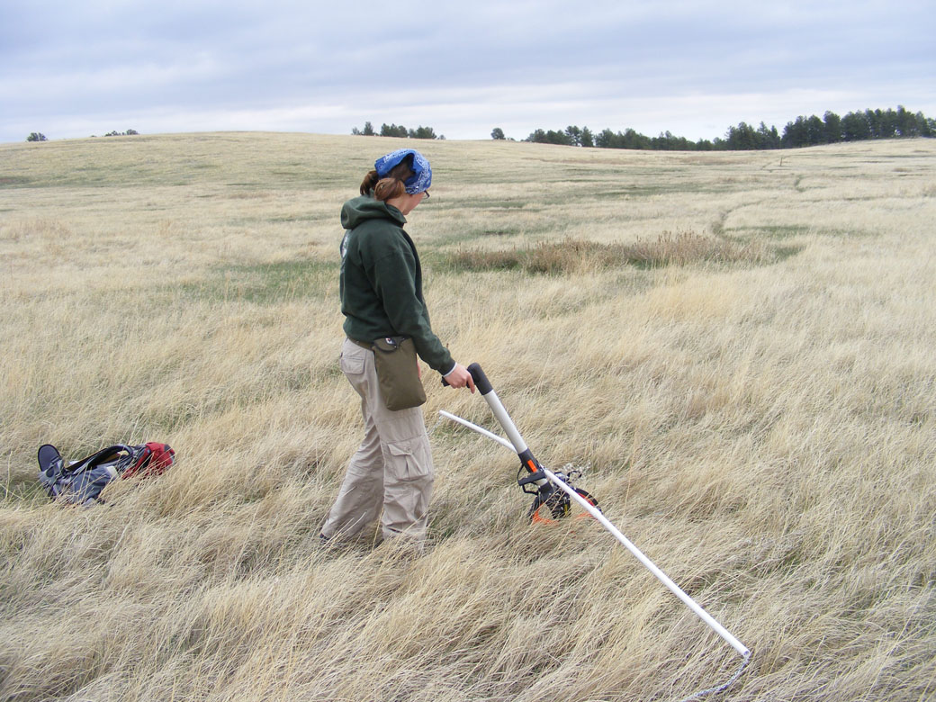 USD researchers strive to protect South Dakota wildlife