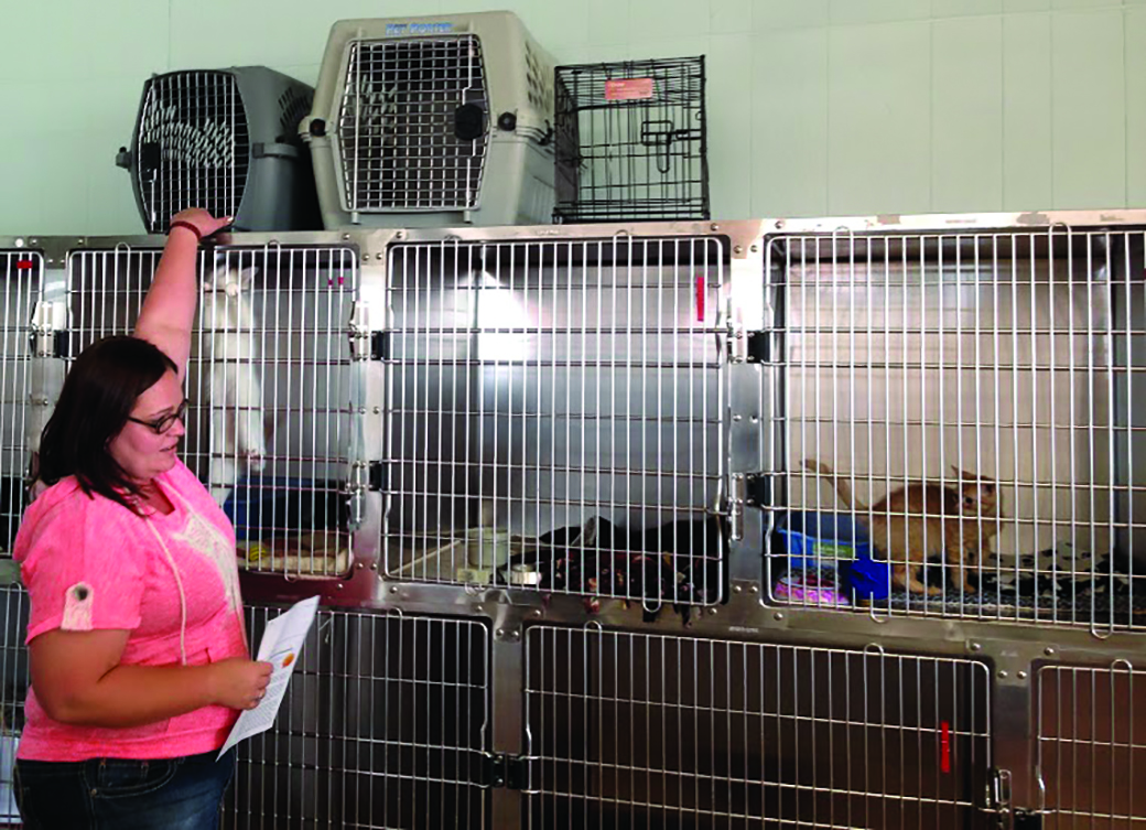 Graduate students evaluate animal shelter for student design competition
