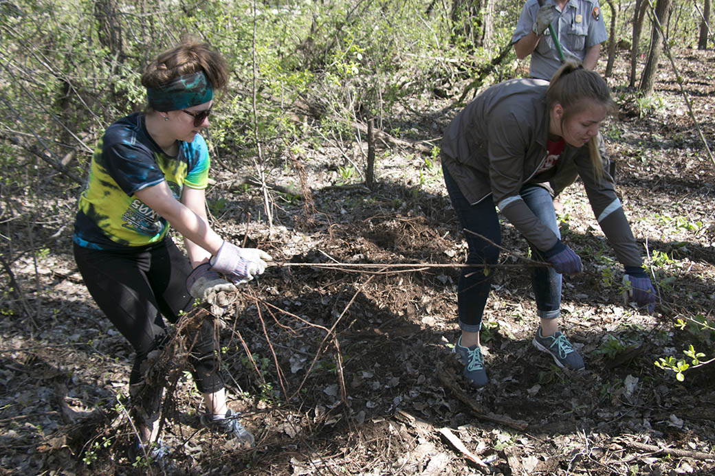 USD students help to build new nature trail