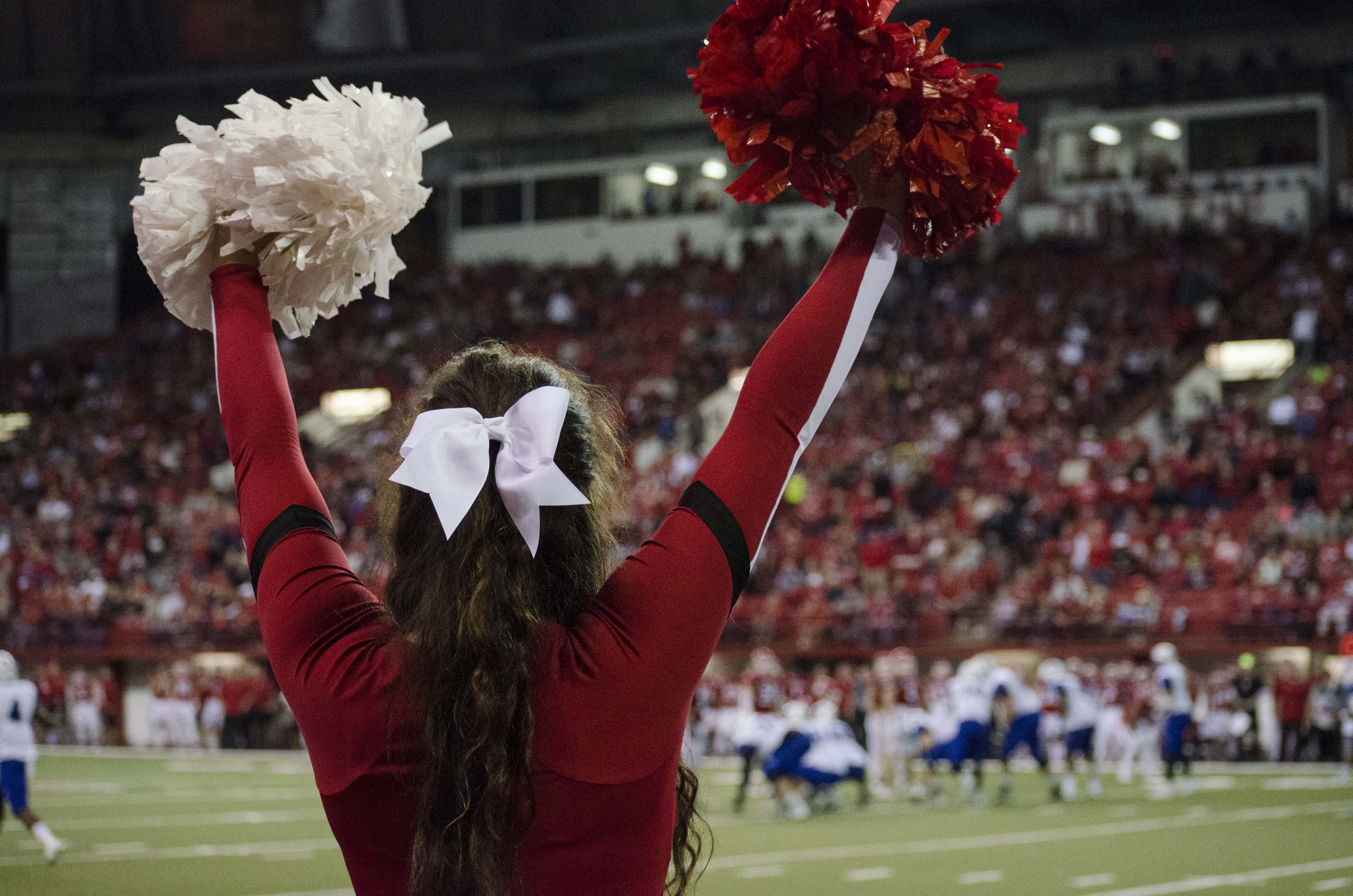 Cheerleading team shares close bond, pride for cheering on USD