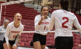 Yotes down Dons in Summit League quarterfinals