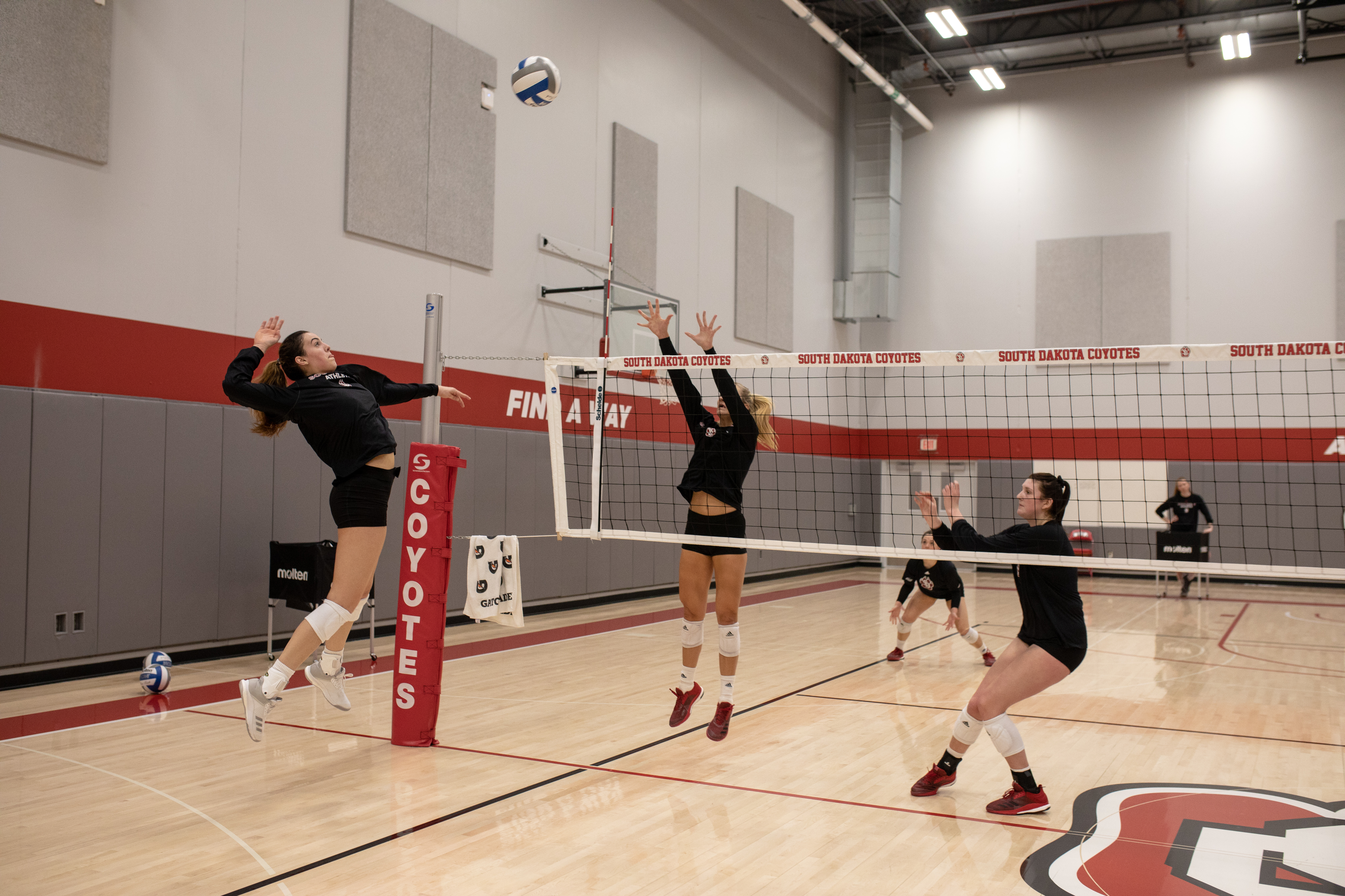 Slaughter and Wiedenfeld join Coyote volleyball, acclimate to Vermillion