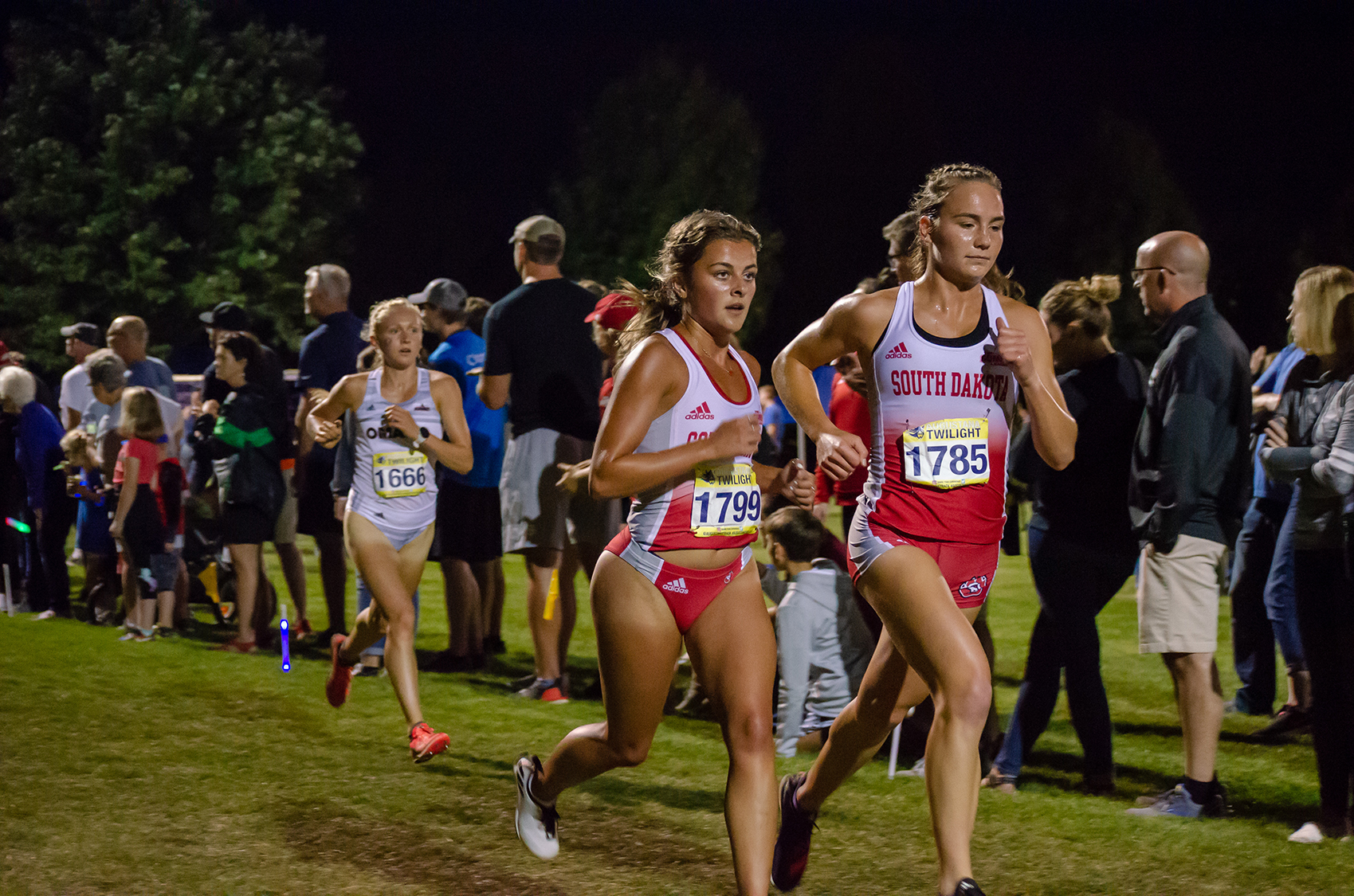 Abby Ripperda earns all-Midwest honors at regional championships