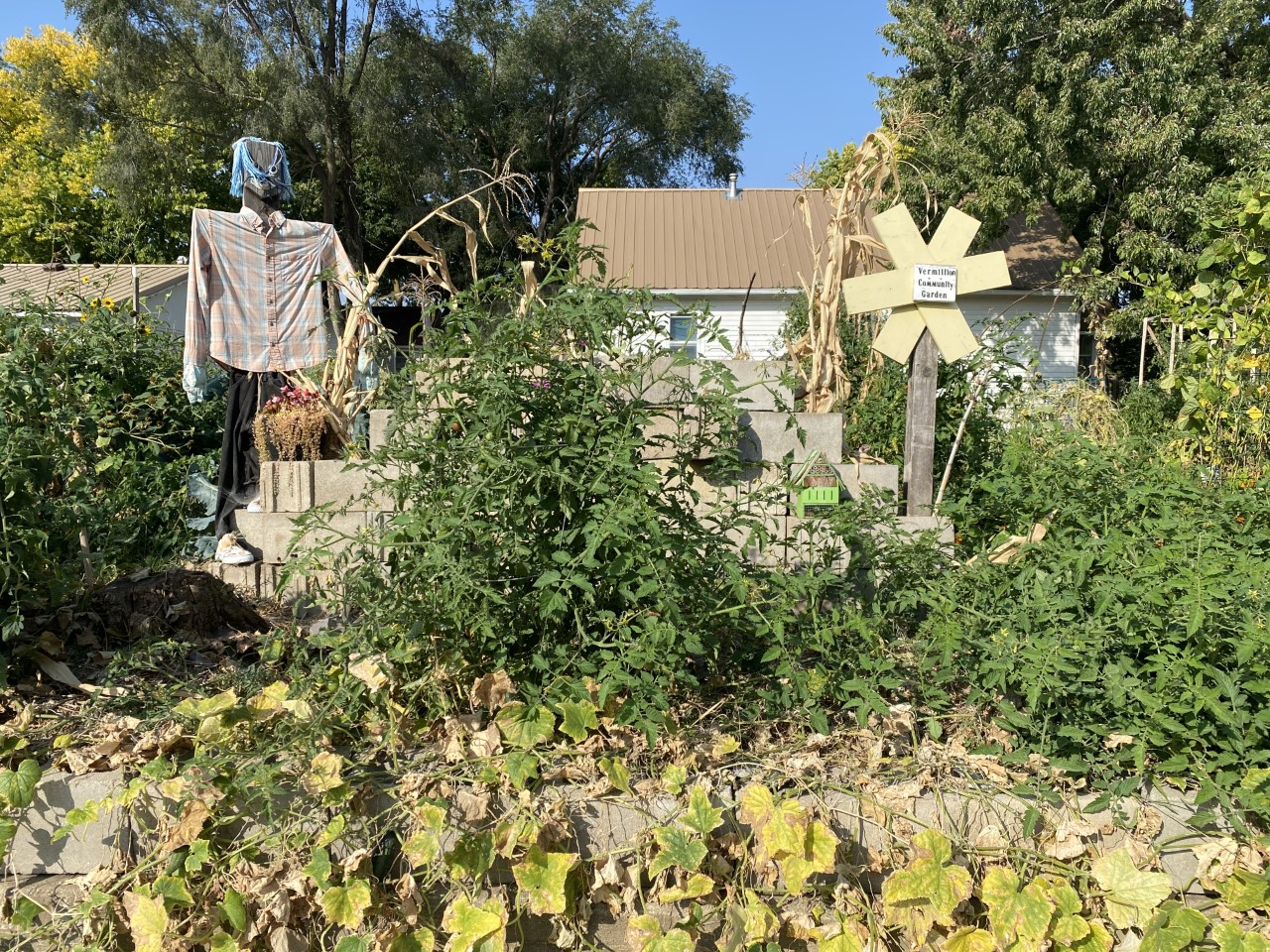 Local gardens grow community involvement, give back to Vermillion