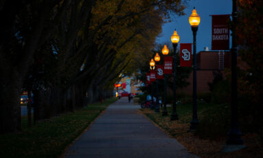 UPD plans walk to assess nighttime campus safety
