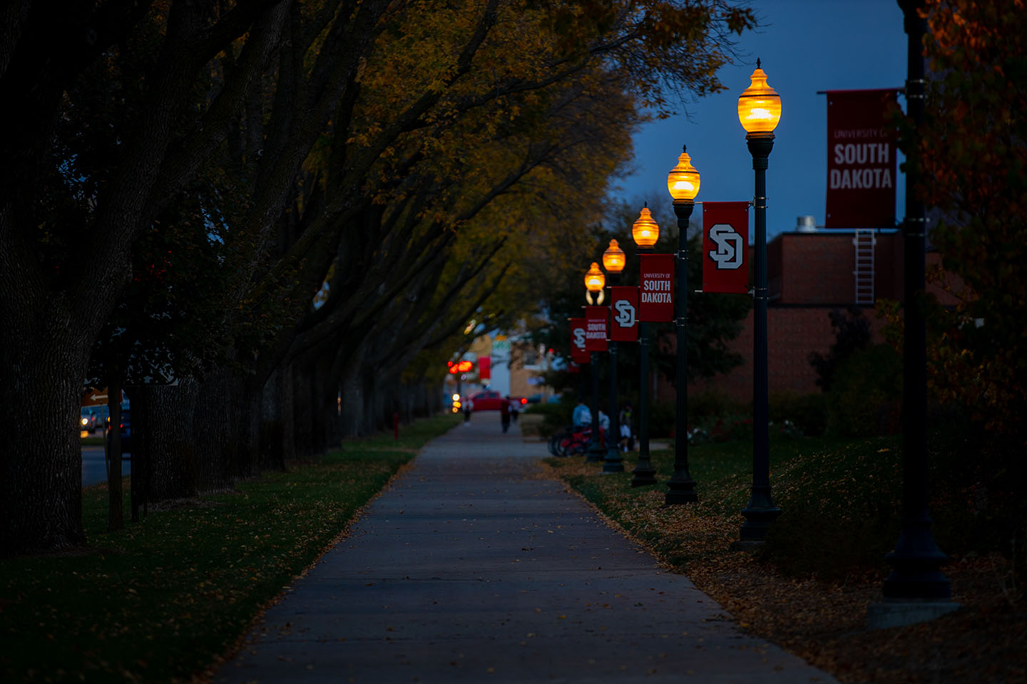 UPD plans walk to assess nighttime campus safety