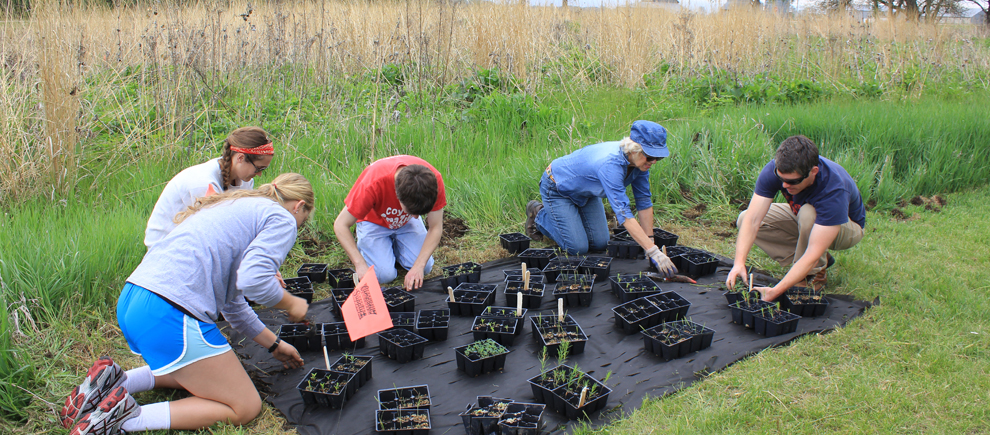 Green Initiative Fund moved from SGA to USD Sustainability Committee