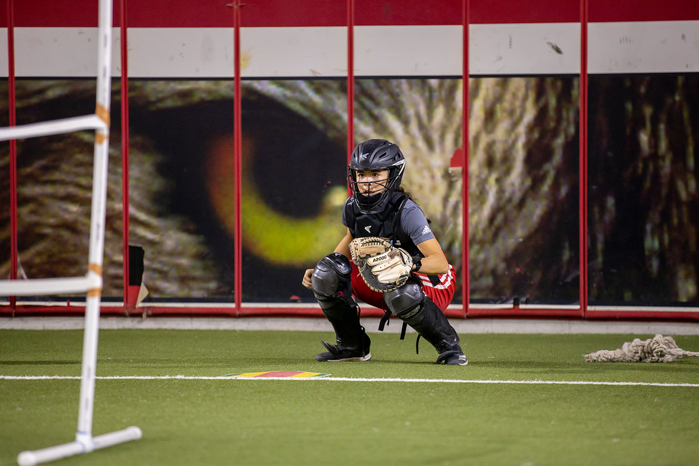 Coyote softball gears up for conference play