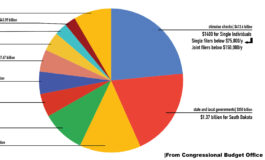 Federal stimulus bill: How will the American Rescue Plan impact South Dakota?