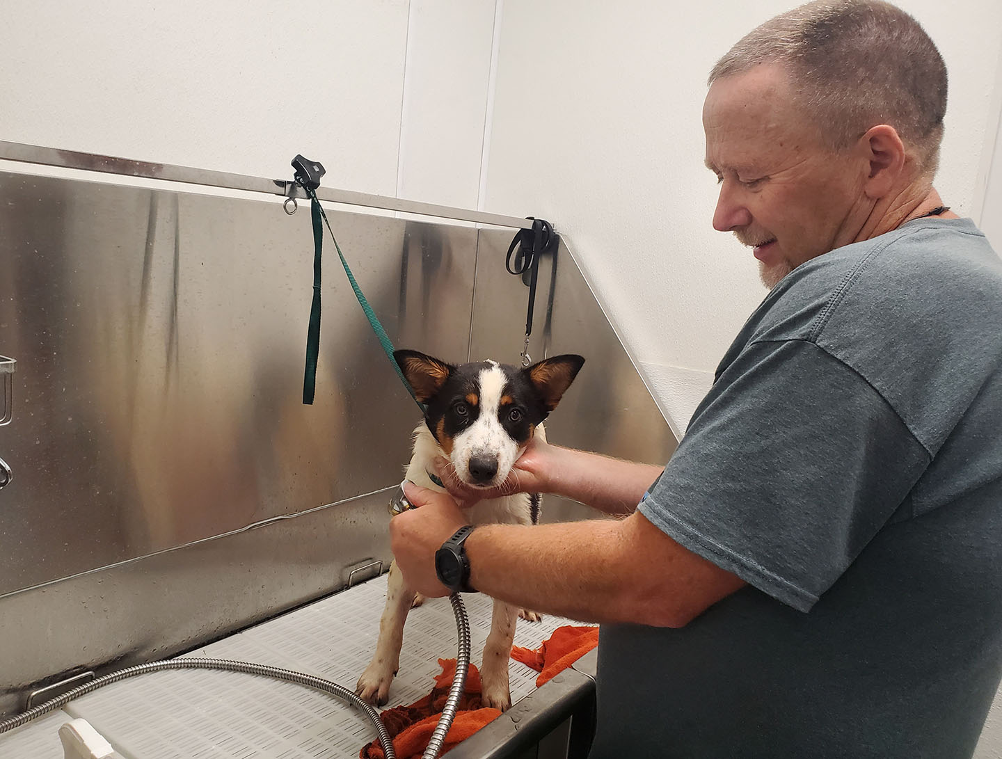 South Dakota animal shelters help rehome pets displaced by Hurricane Ida