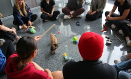 The Cat Cafe De-stresses Students
