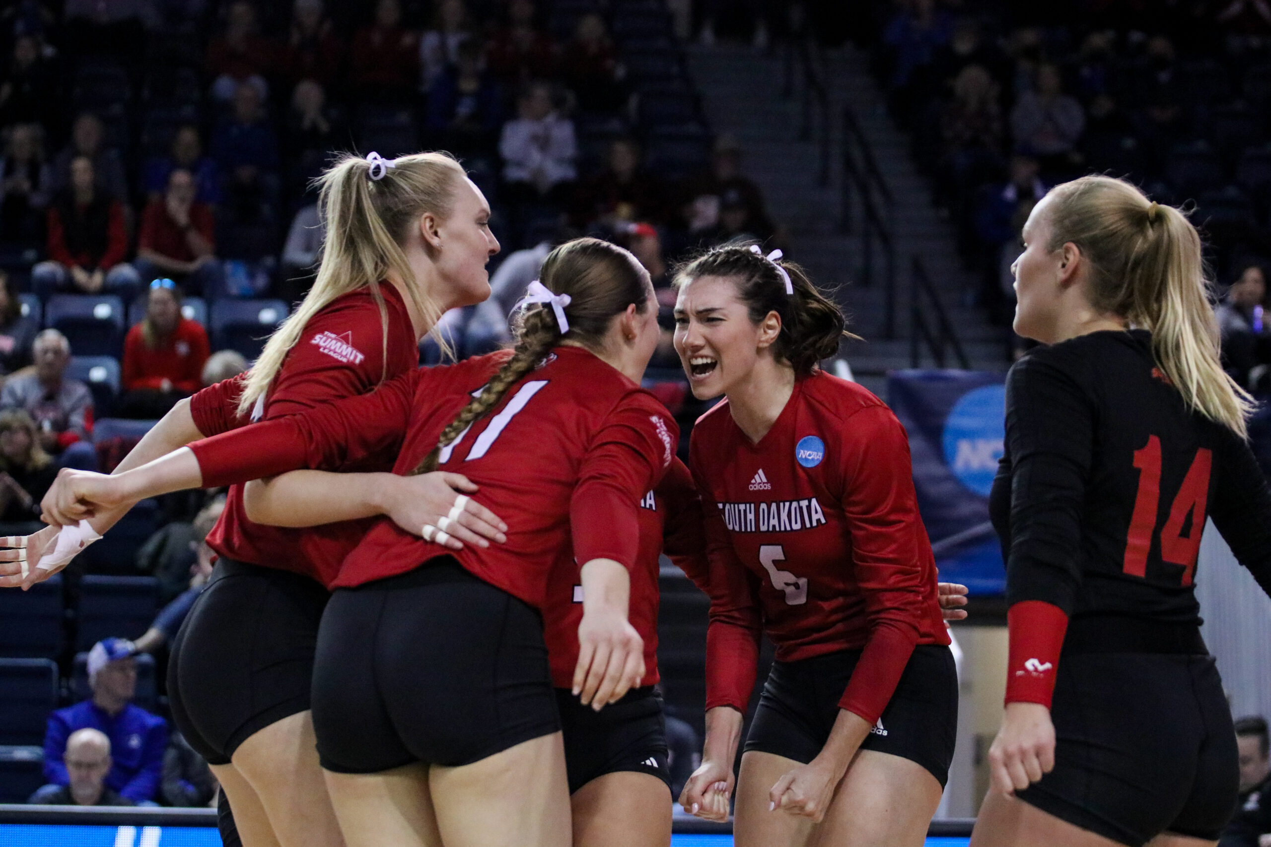 Volleyball Wins First NCAA Tournament Set in Program History