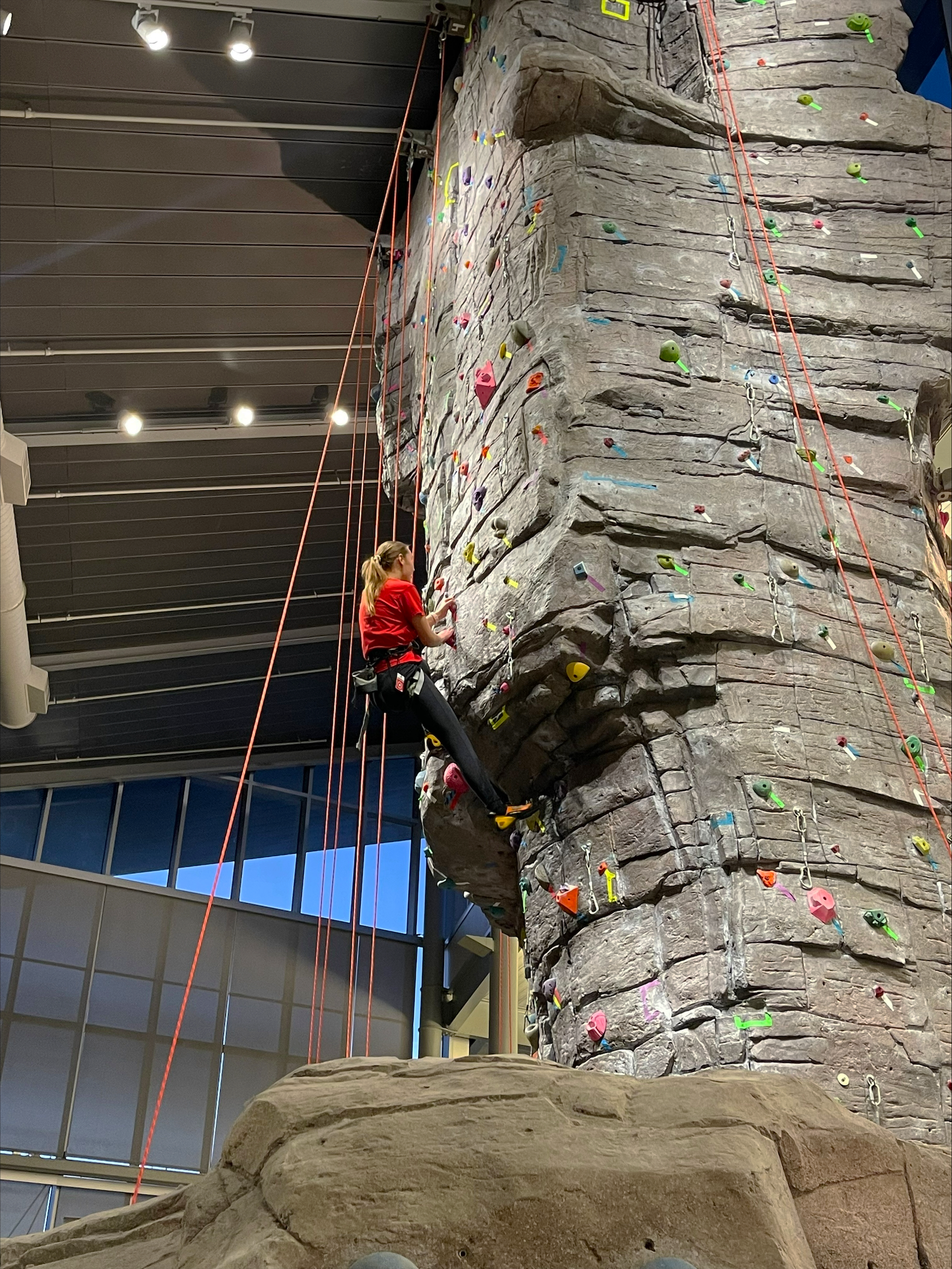 Coyote Classic Climbing Competition to Return this Year