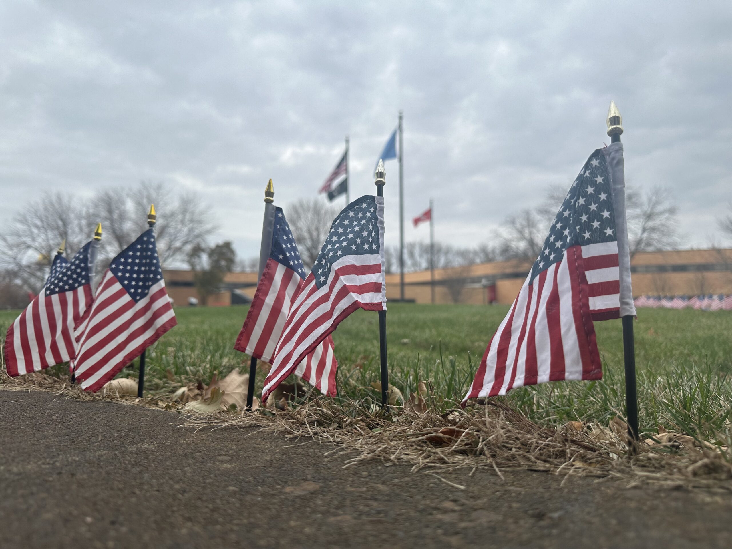 Veterans Day in Vermillion