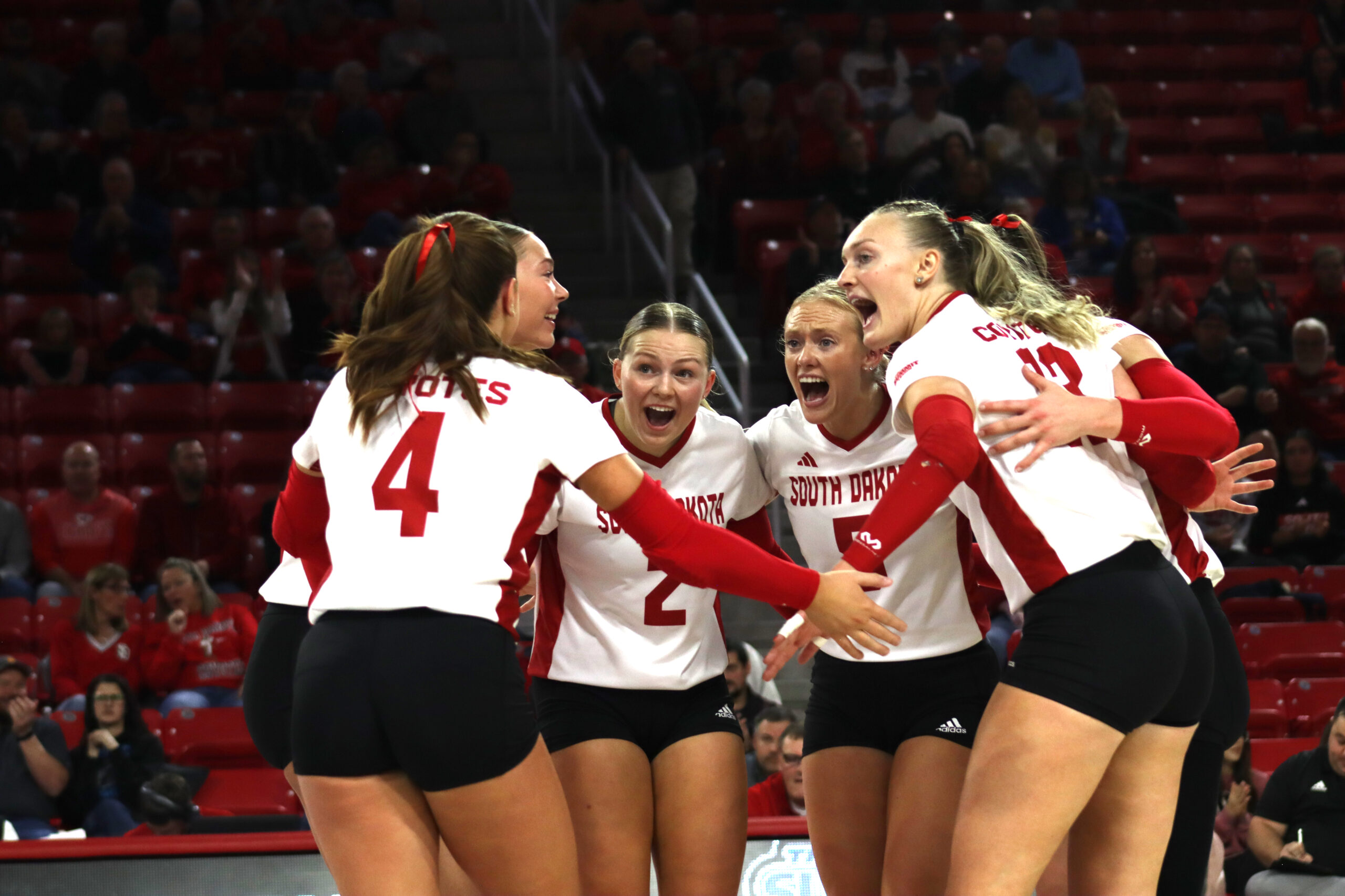Volleyball Falls in Summit League Tournament