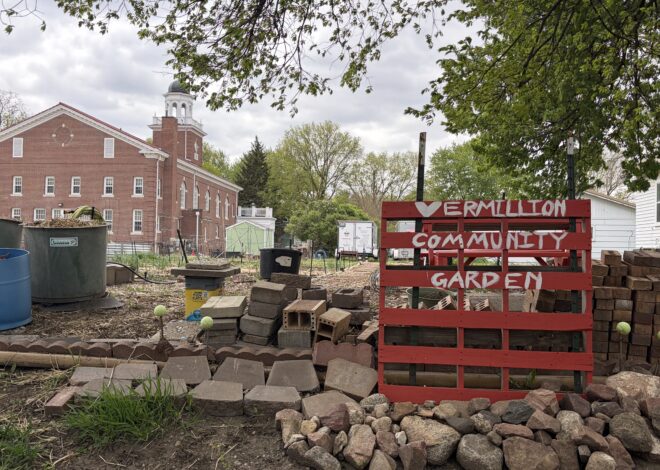 A growing season for the Vermillion Community Garden