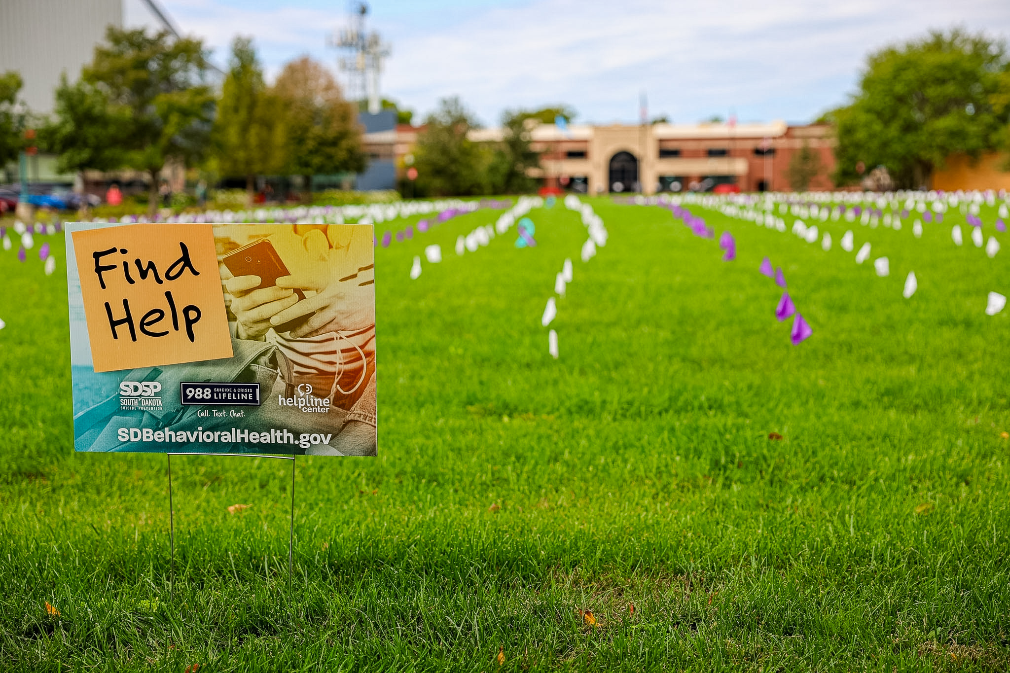 Field of Memories: Raising awareness for suicide prevention