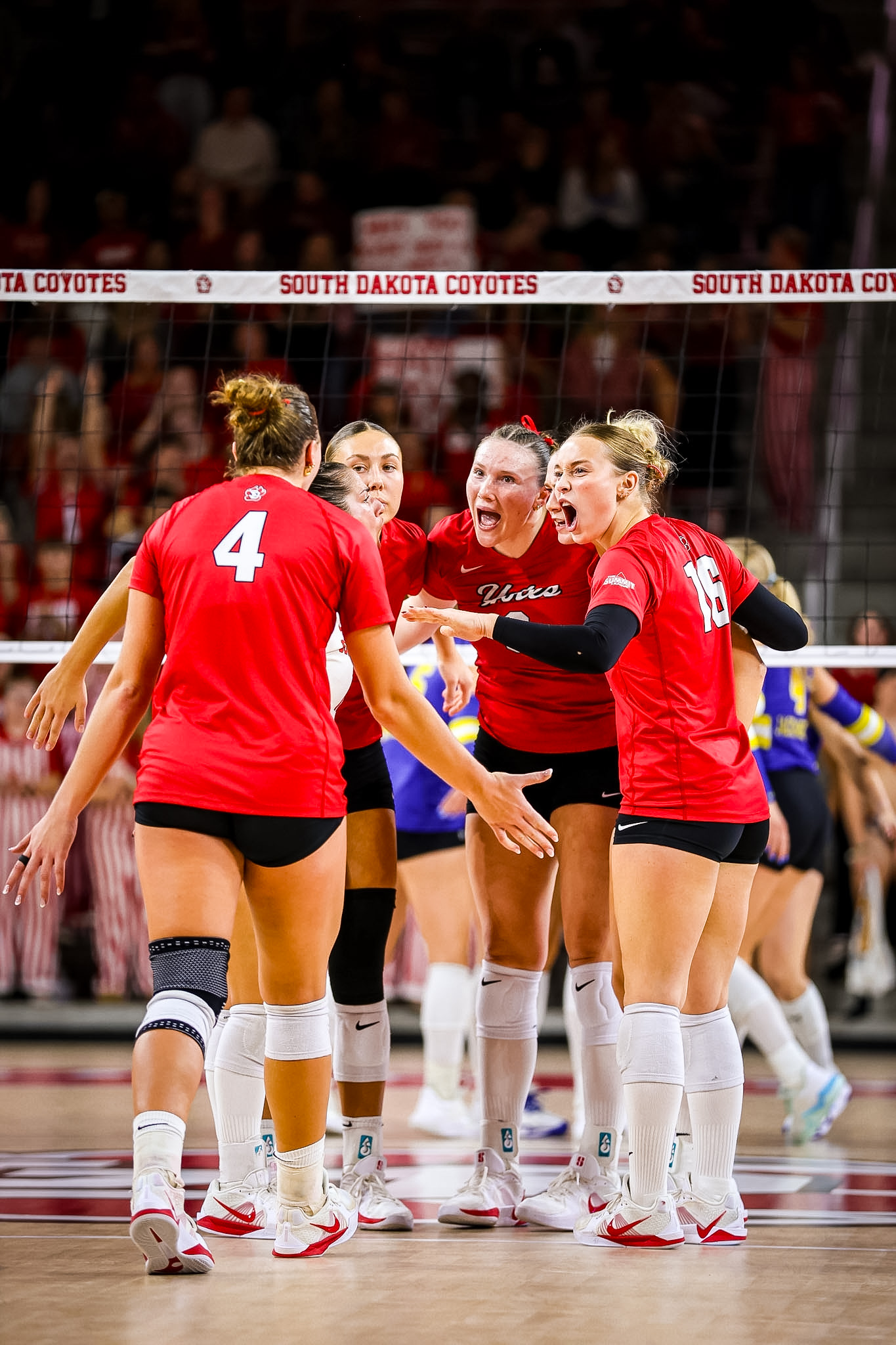 Volleyball on a hot streak