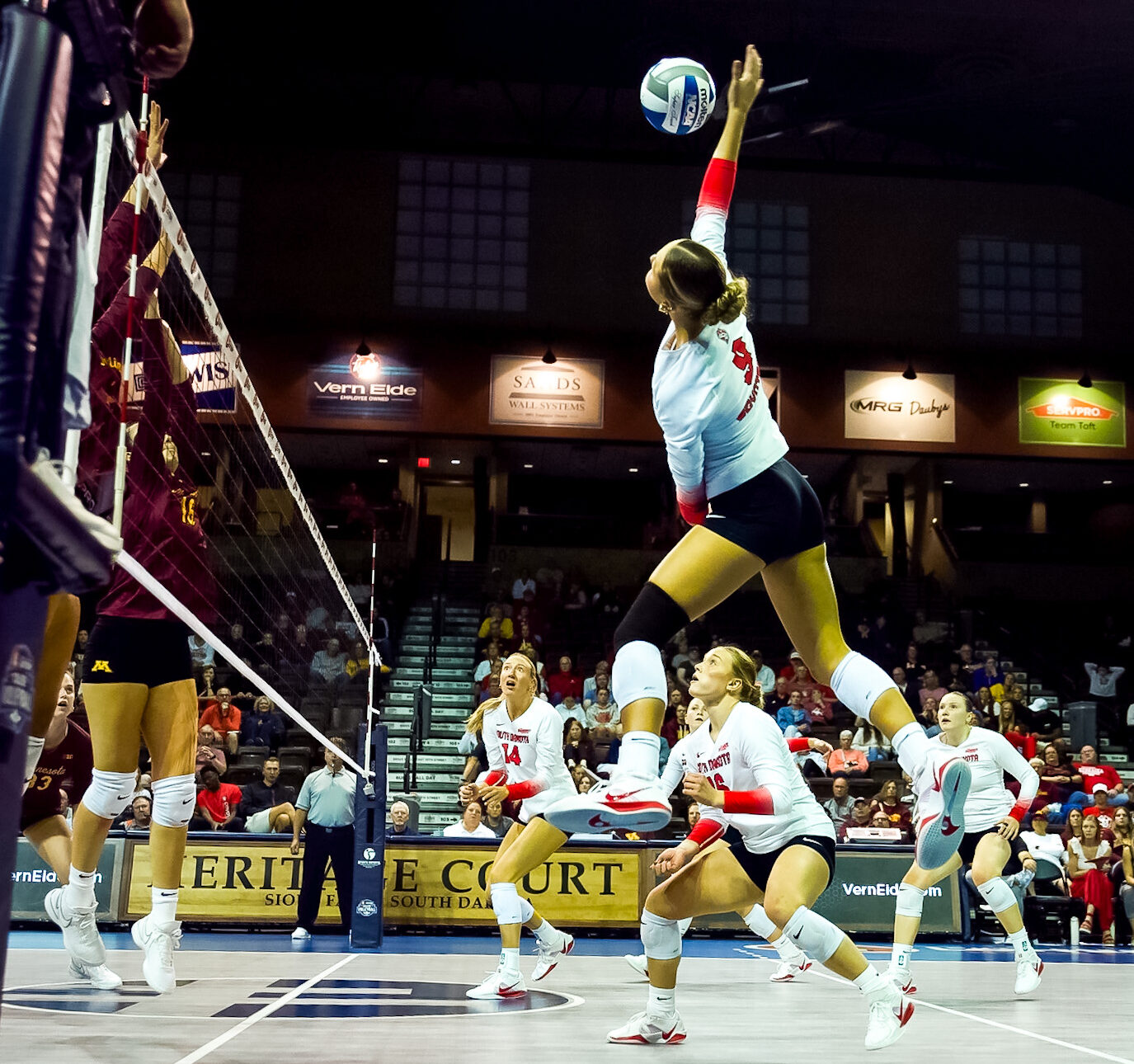 USD faces off against the the big dogs